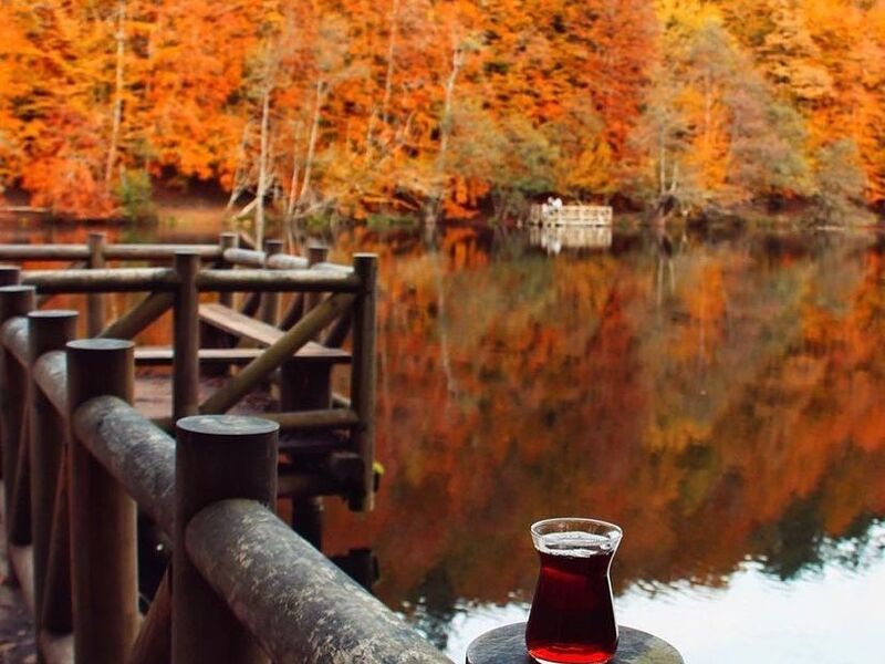 Batı Karadeniz Turu