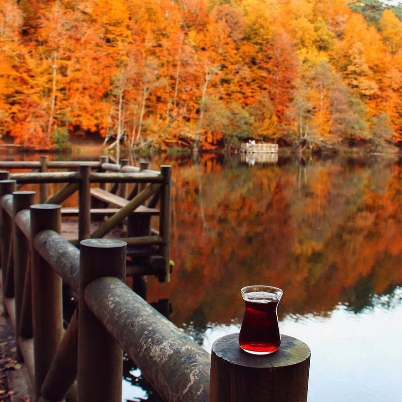 Batı Karadeniz Turu