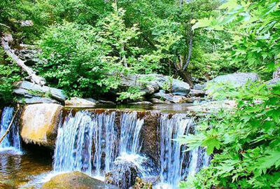 Cunda - Kazdağları Sarımsaklı Plajı