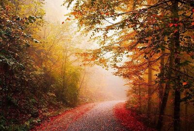 Batı Karadeniz Turu