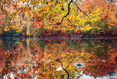 Batı Karadeniz Turu